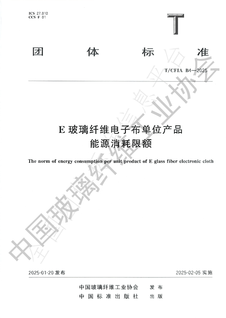 T/CFIA B4-2025 标准预览