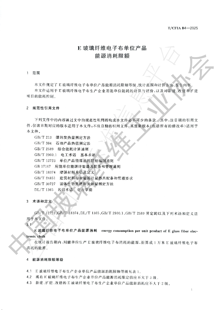 T/CFIA B4-2025 标准预览