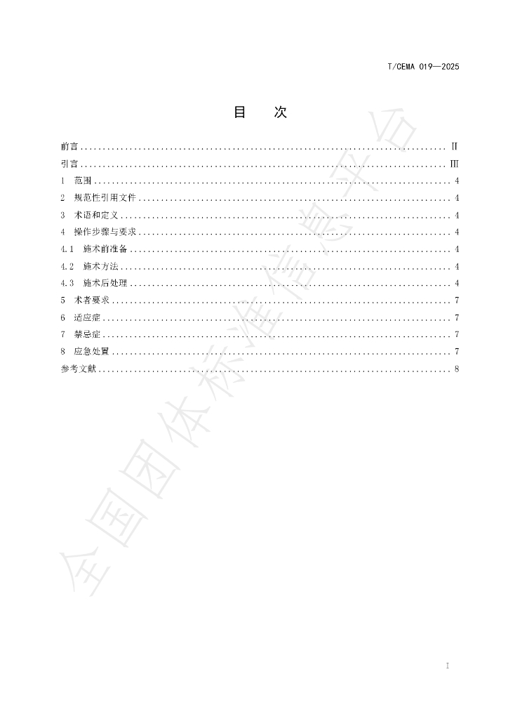 T/CEMA 019-2025 标准预览