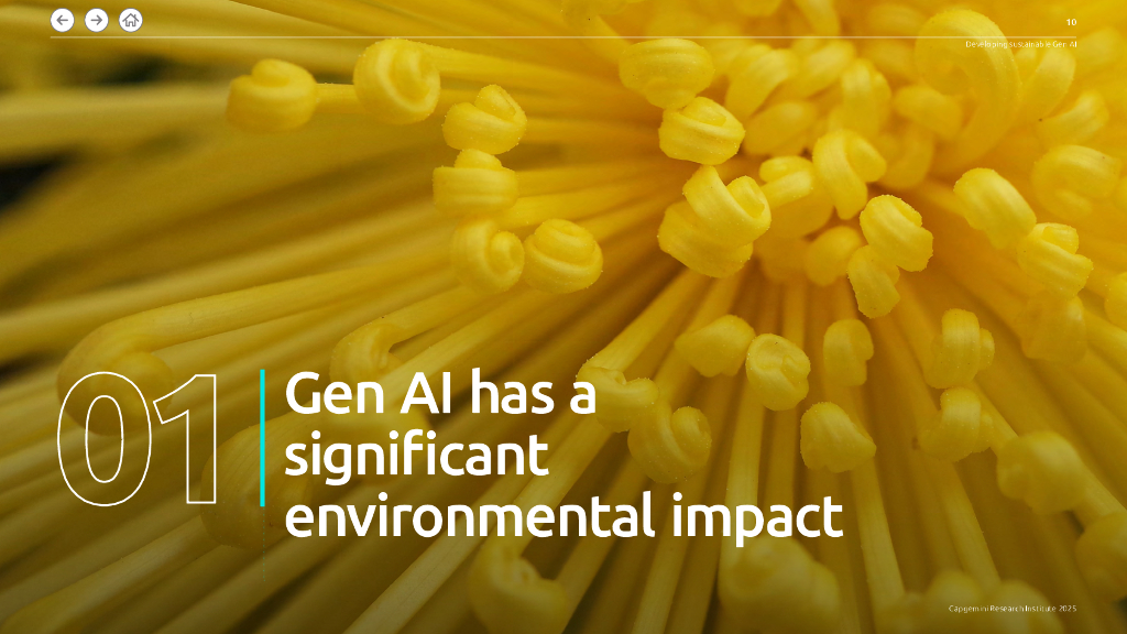 凯捷：2025年发展可持续生成式人工智能（Gen AI）-实践路线图及其环境影响研究报告（英文版）_第10页