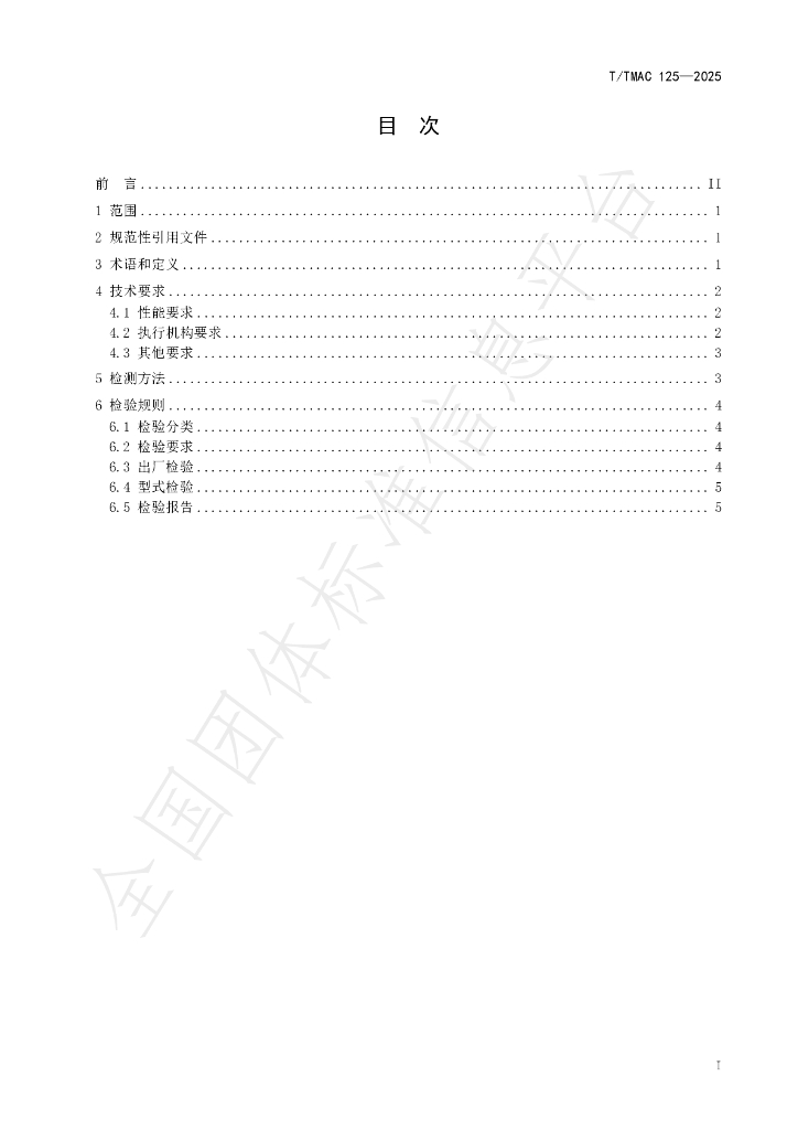 T/TMAC 125-2025 标准预览