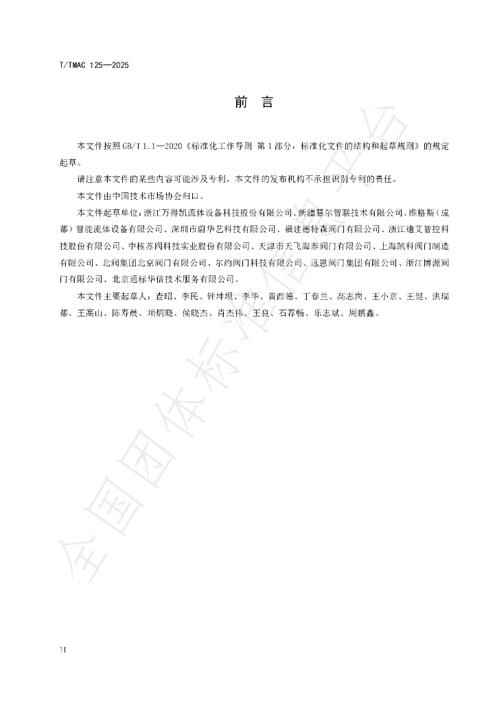 T/TMAC 125-2025 标准预览