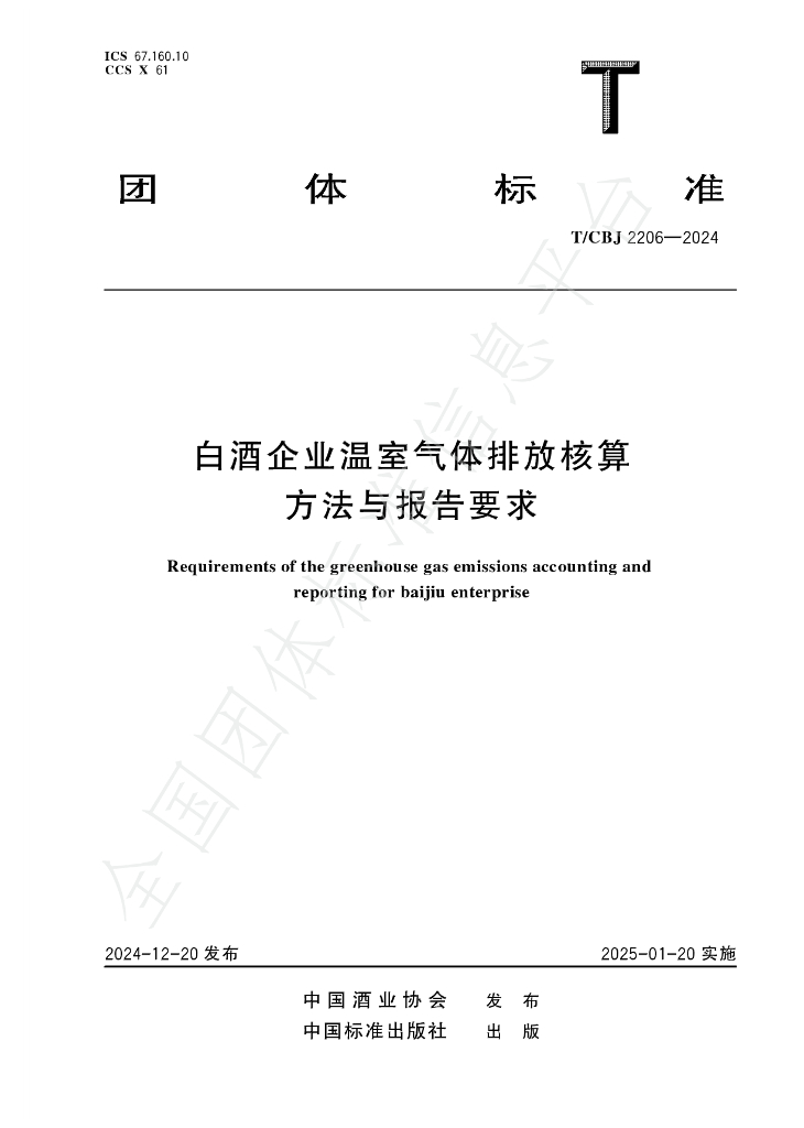T/CBJ 2206-2024 标准预览