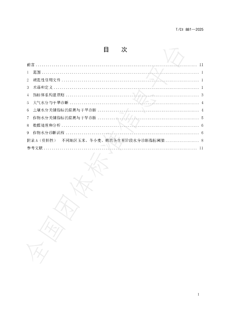 T/CI 881-2025 标准预览