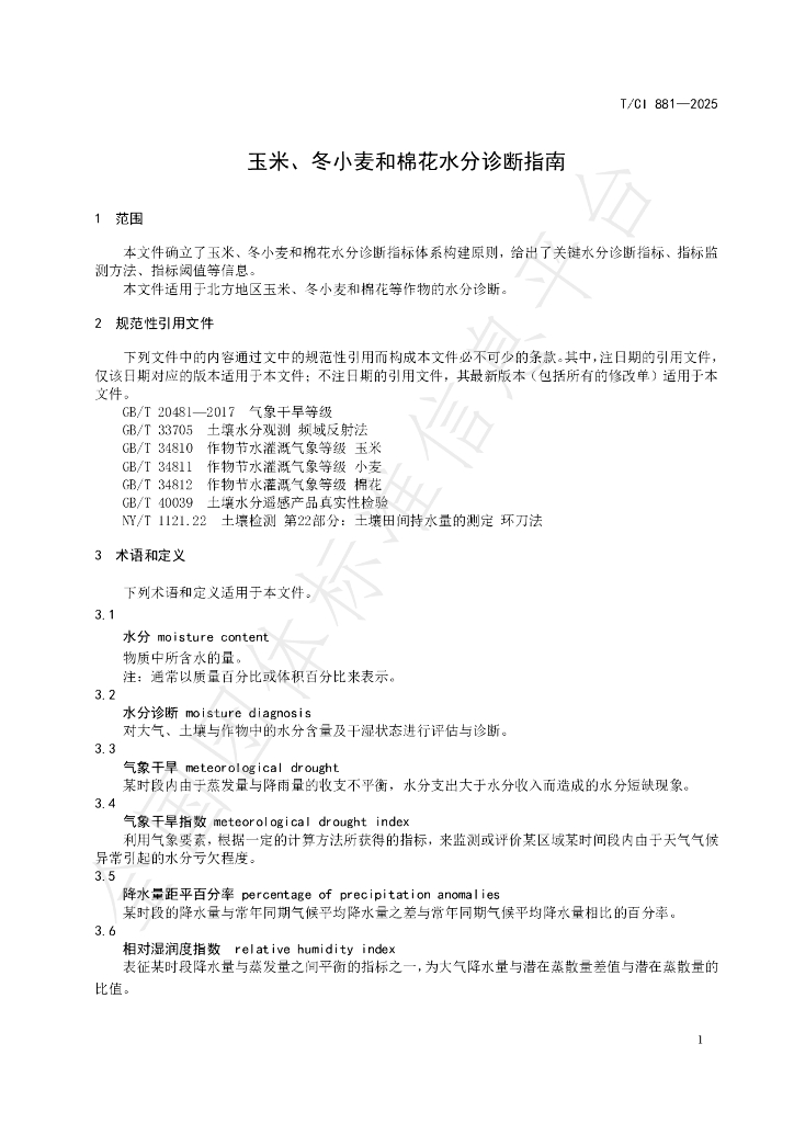 T/CI 881-2025 标准预览
