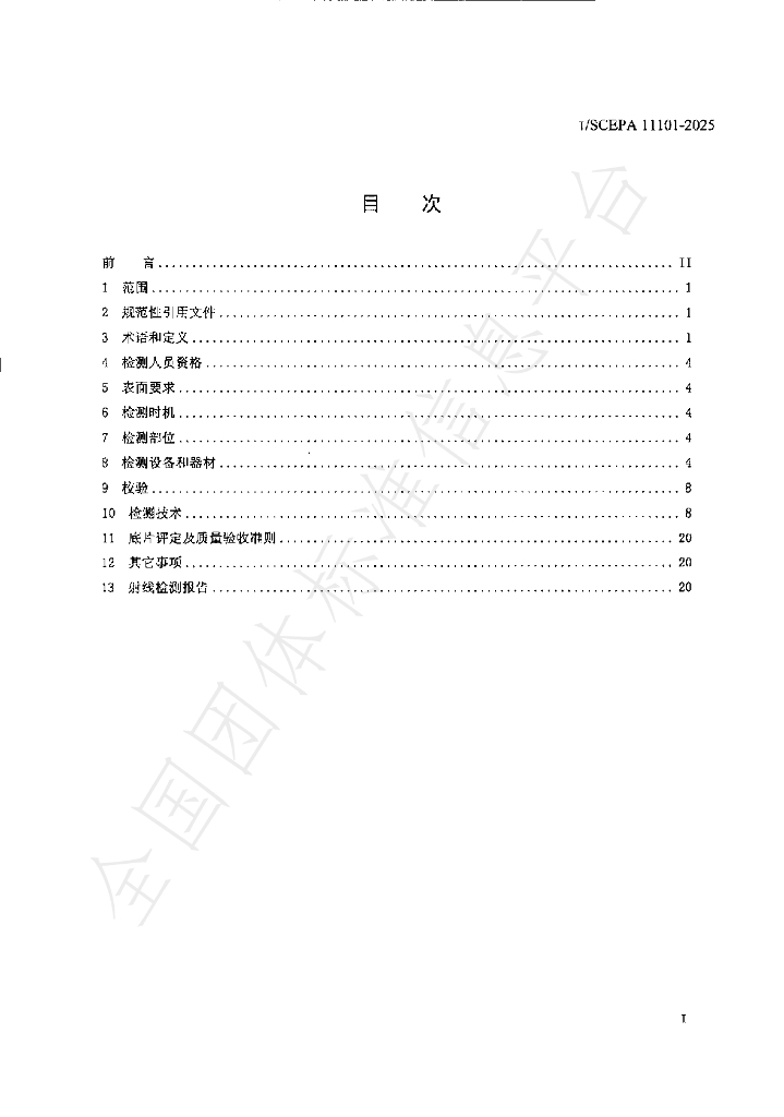 T/SCEPA 11101-2025 标准预览