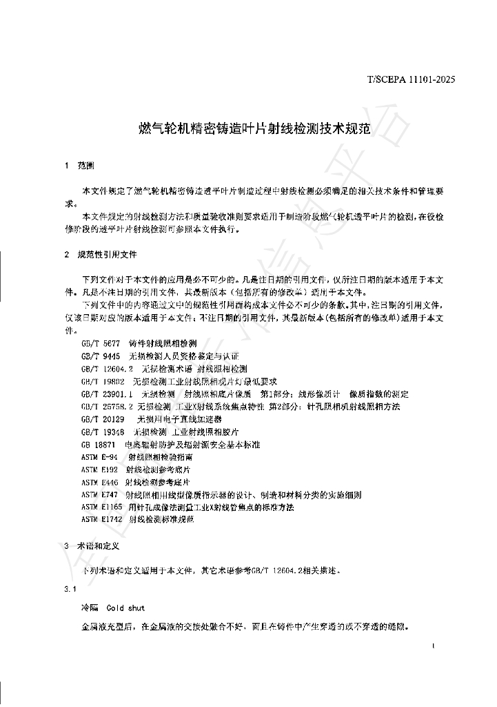 T/SCEPA 11101-2025 标准预览