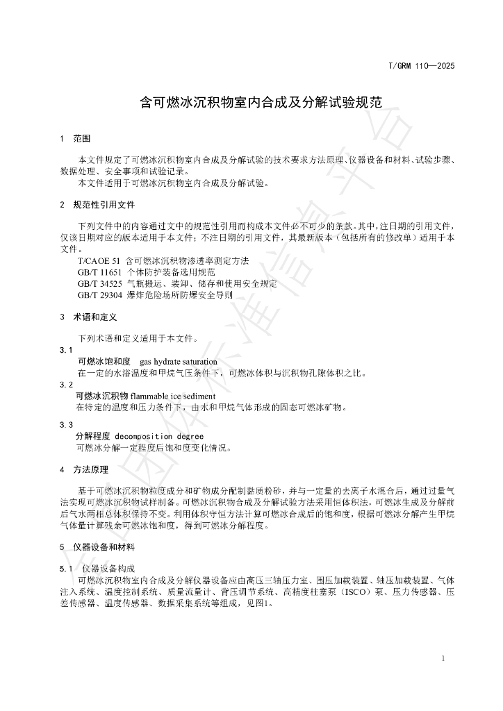 T/GRM 110-2025 标准预览