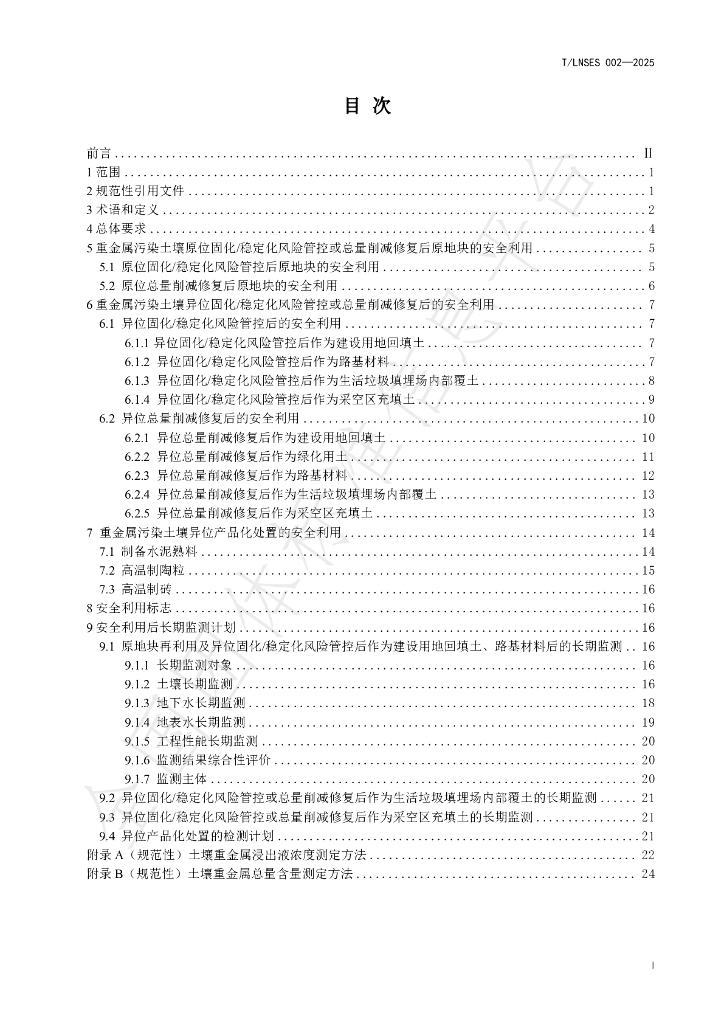 T/LNSES 002-2025 标准预览