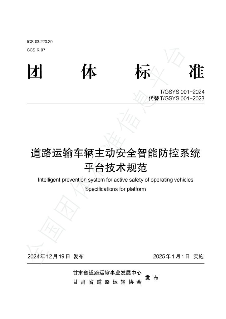 T/GSYS 001-2024 标准预览