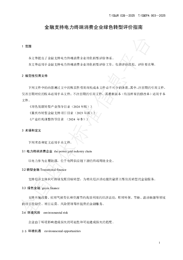 T/CQJR 028-2025 标准预览