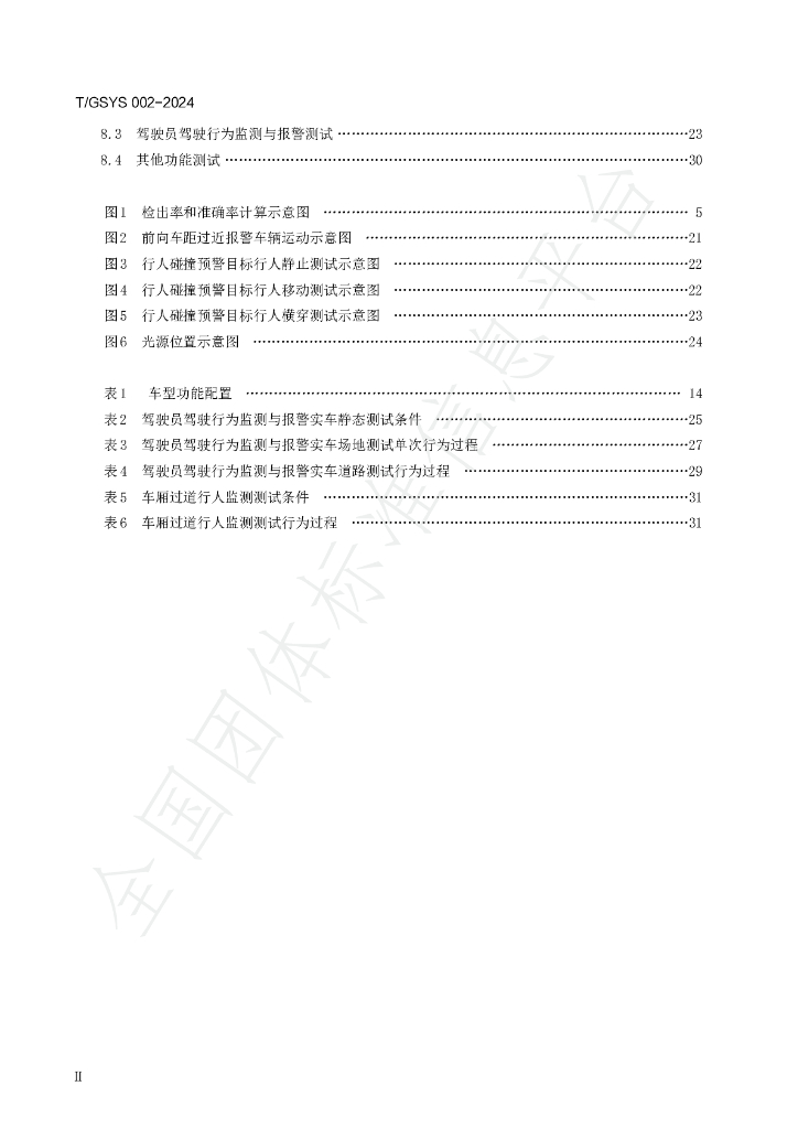 T/GSYS 002-2024 标准预览