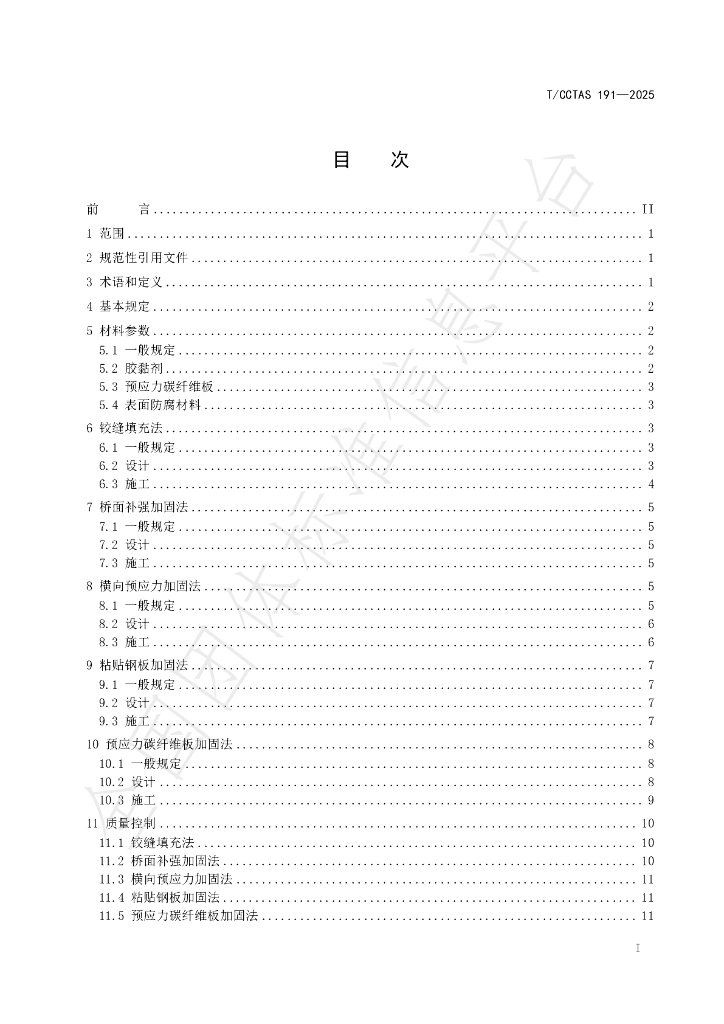 T/CCTAS 191-2025 标准预览