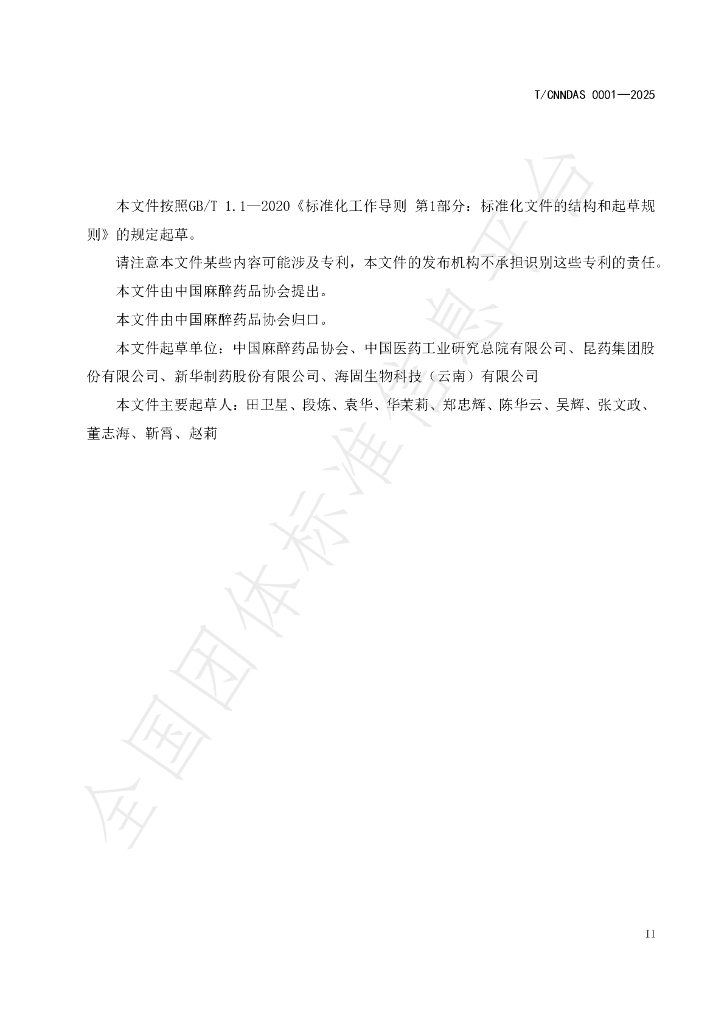T/CNNDAS 0001-2025 标准预览