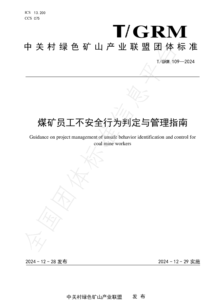 T/GRM 109-2024 标准预览