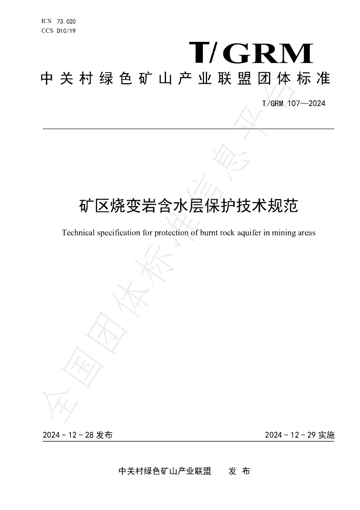 T/GRM 107-2024 标准预览