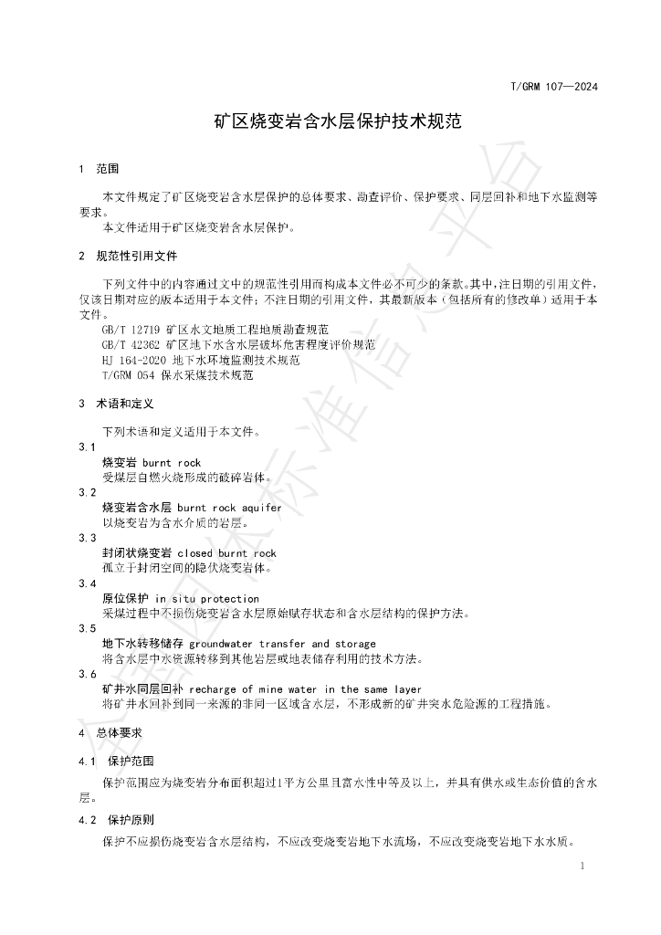 T/GRM 107-2024 标准预览