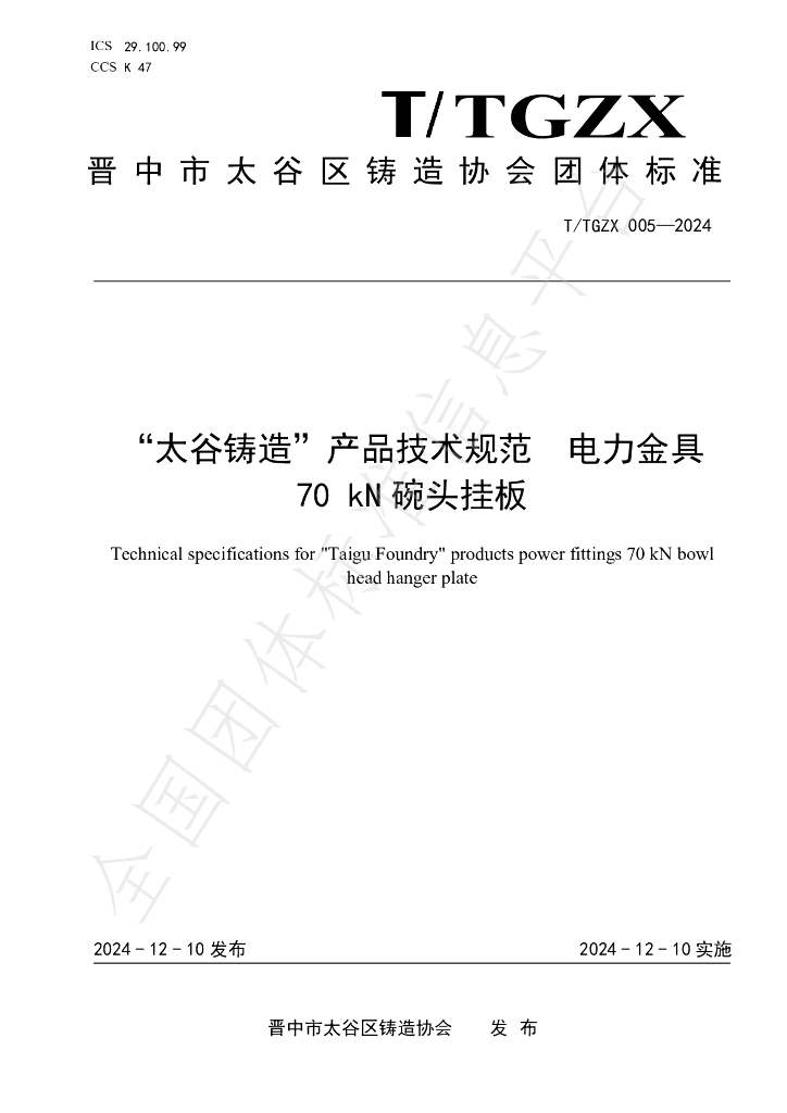 T/TGZX 005-2024 标准预览