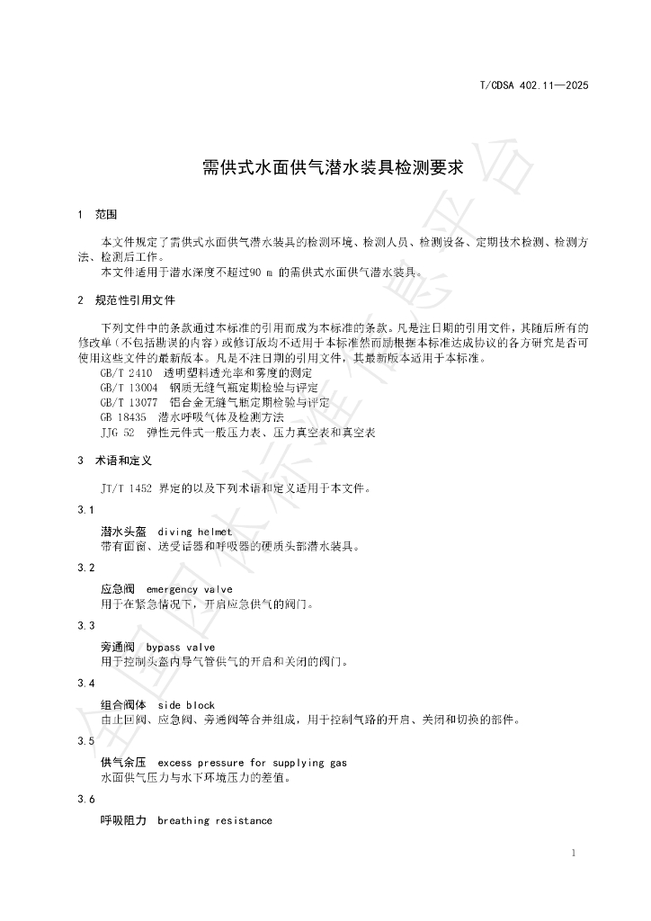T/CDSA 402.11-2025 标准预览