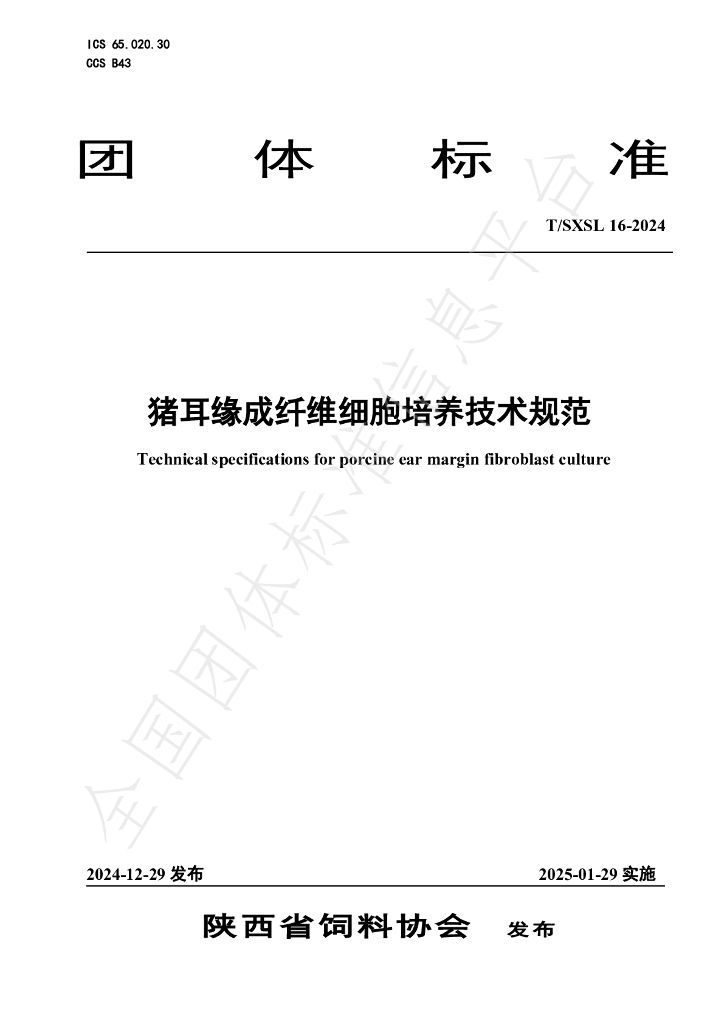 T/SXSL 16-2024 标准预览