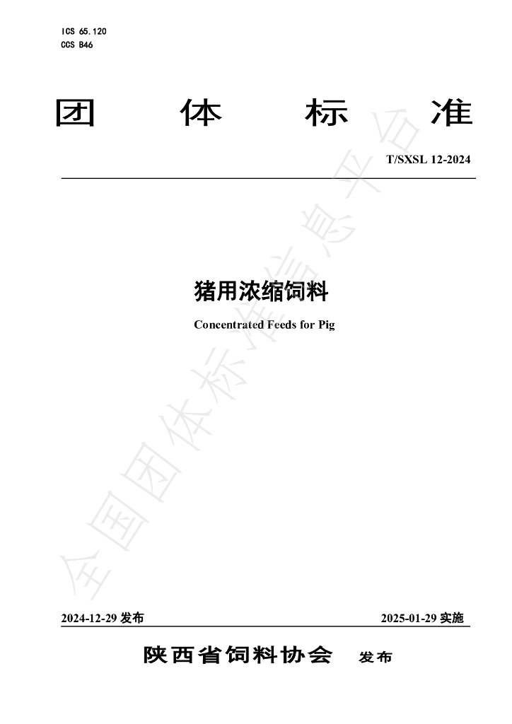 T/SXSL 12-2024 标准预览