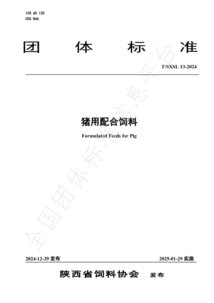 T/SXSL 13-2024 标准预览