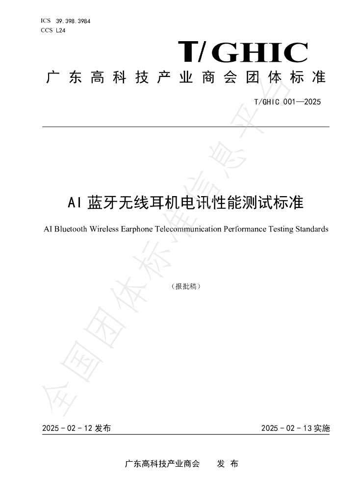 T/GHIC 001-2025 标准预览