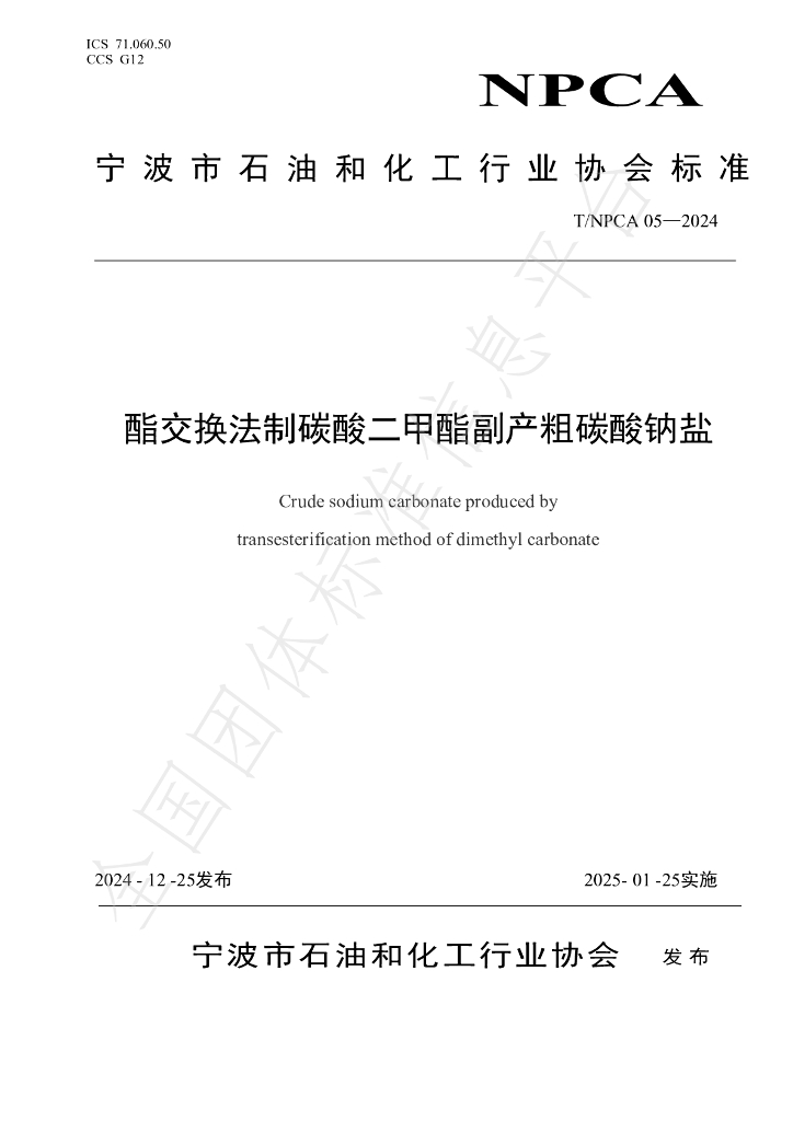 T/NPCA 05-2024 标准预览