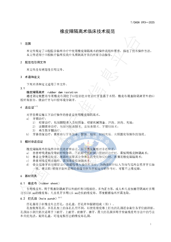 T/CHSA 093-2025 标准预览