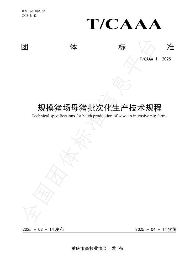 T/CQAAA 1-2025 标准预览