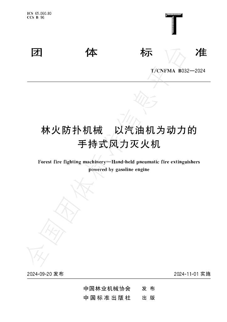 T/CNFMA B032-2024 标准预览