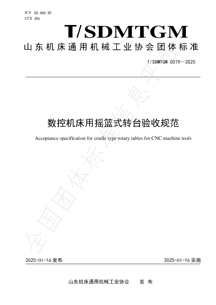 T/SDMTGM 0019-2025 标准预览