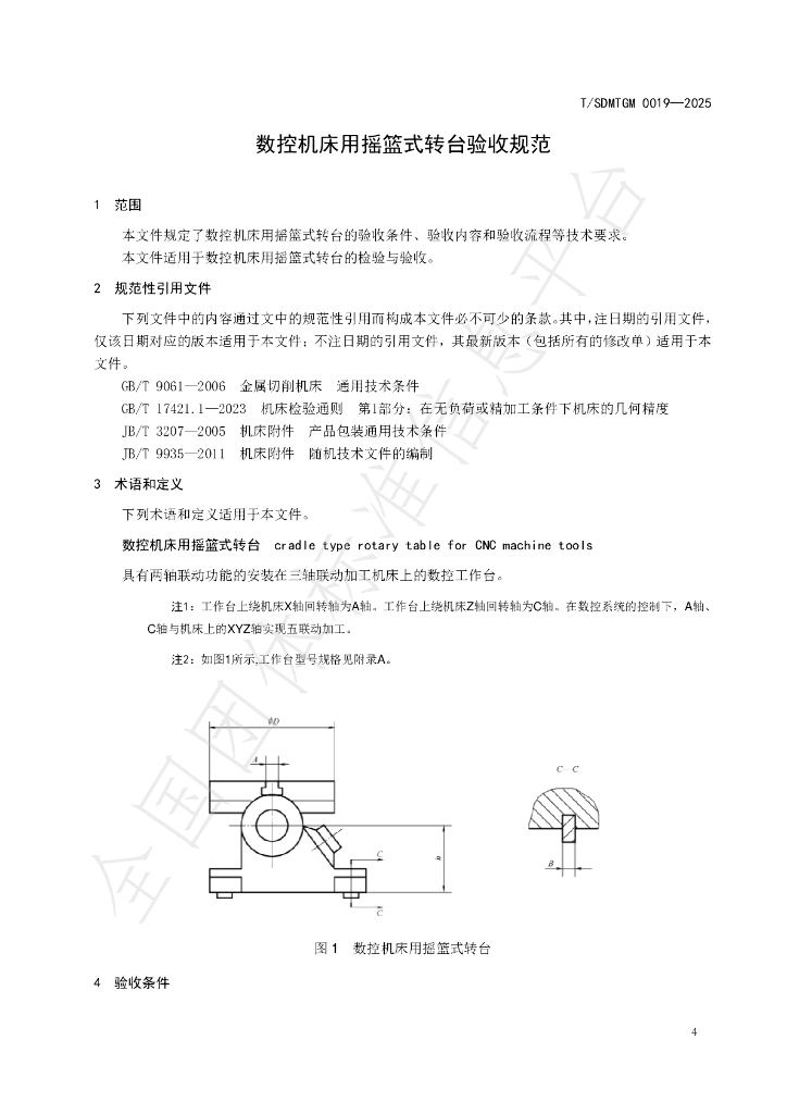 T/SDMTGM 0019-2025 标准预览