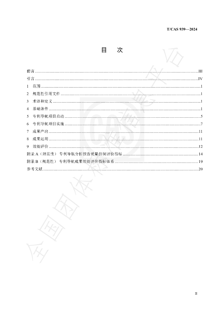 T/CAS 939-2024 标准预览