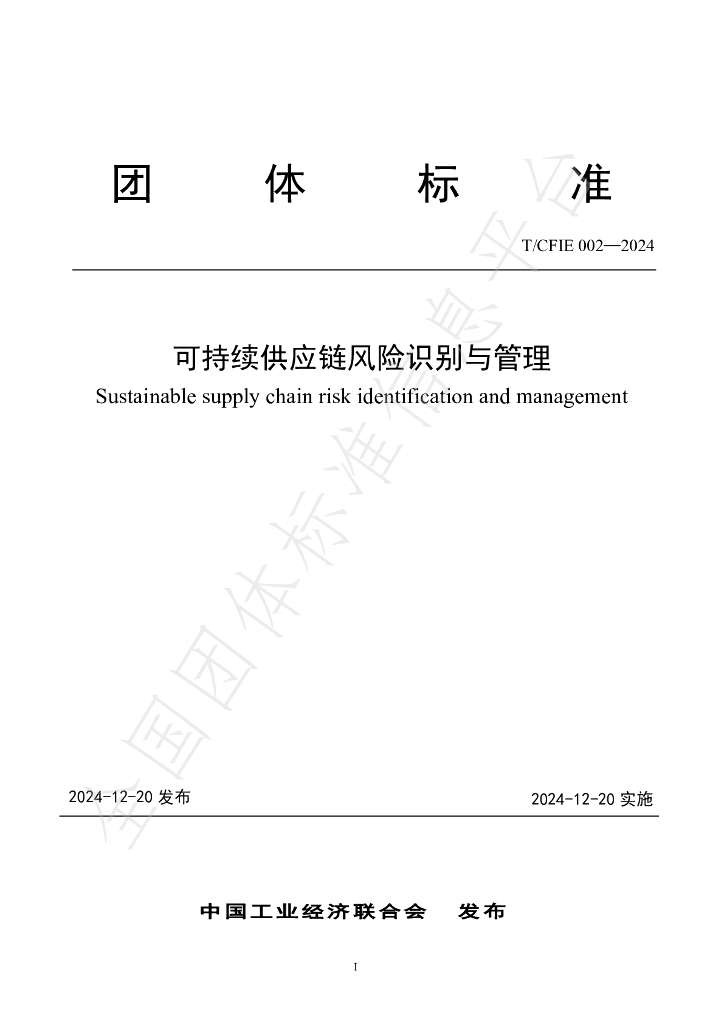 T/CFIE 002-2024 标准预览
