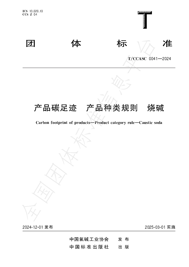 T/CCASC 0041-2024 标准预览