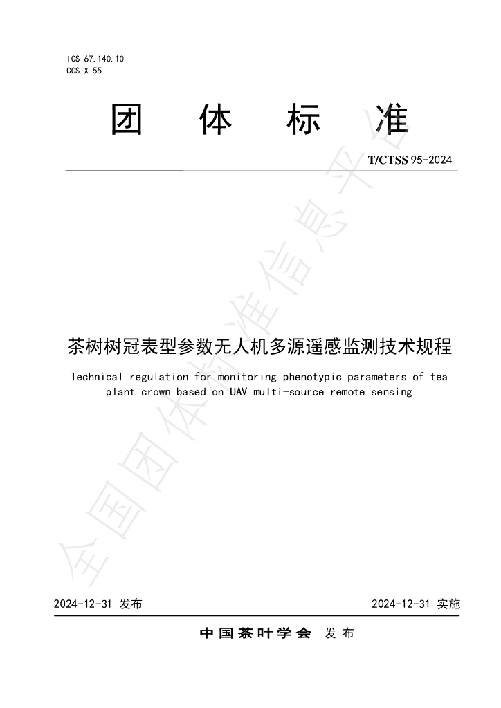 T/CTSS 95-2024 标准预览