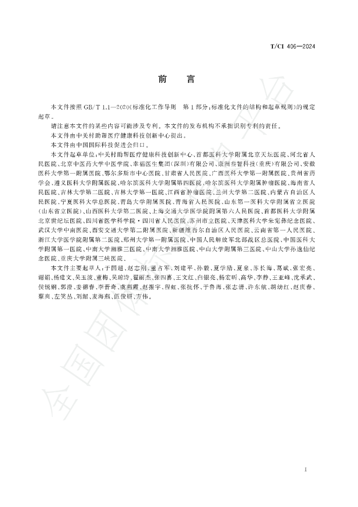 T/CI 406-2024 标准预览