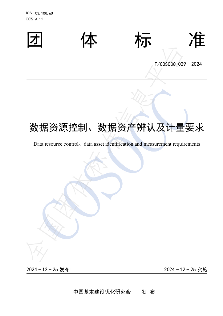 T/COSOCC 029-2024 标准预览