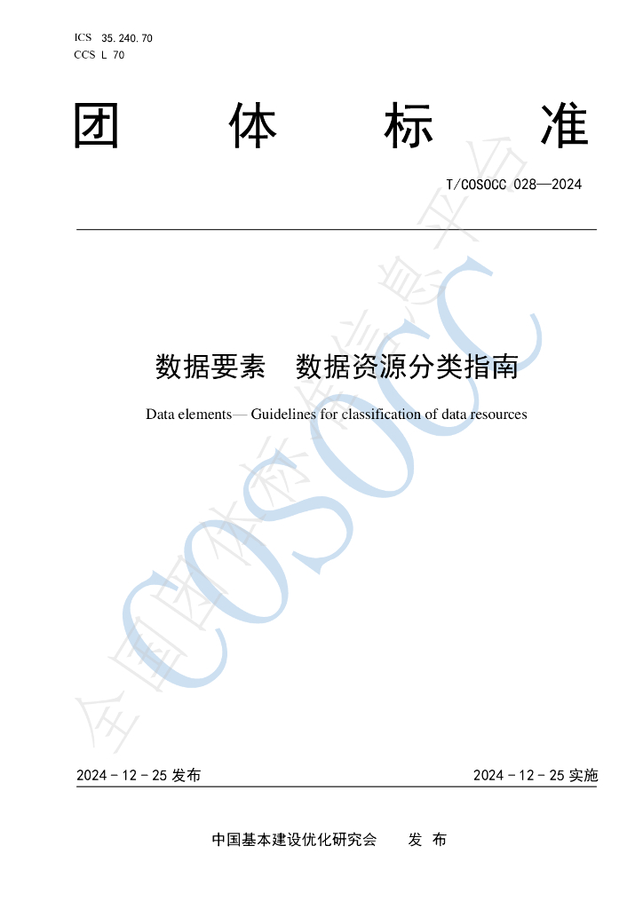 T/COSOCC 028-2024 标准预览