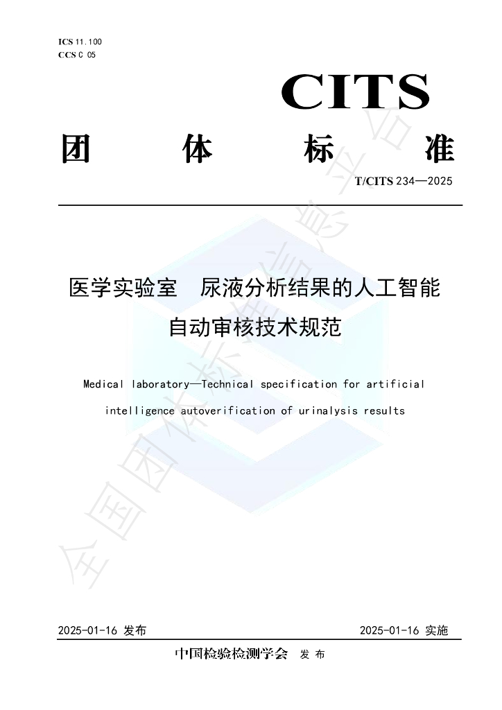 T/CITS 234-2025 标准预览