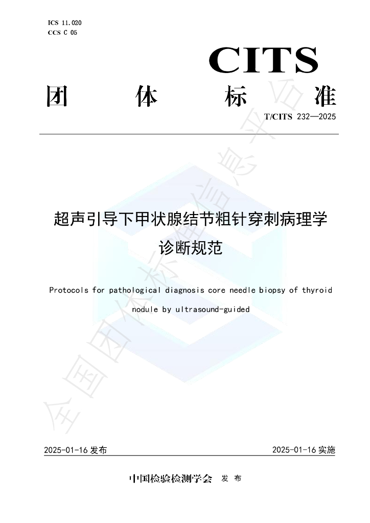 T/CITS 232-2025 标准预览