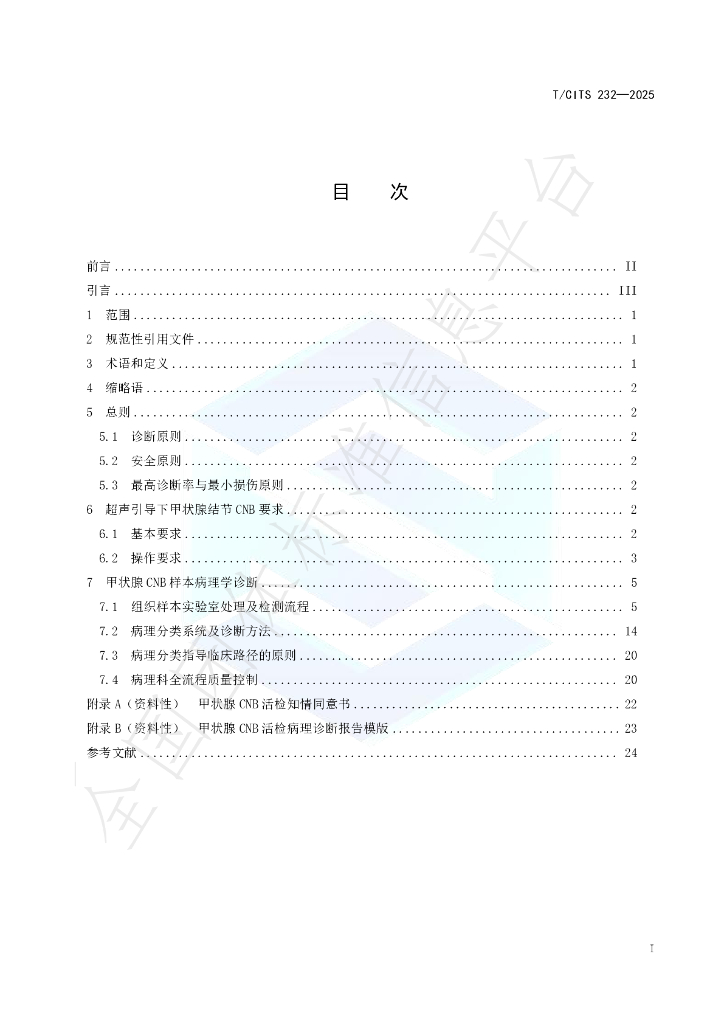 T/CITS 232-2025 标准预览