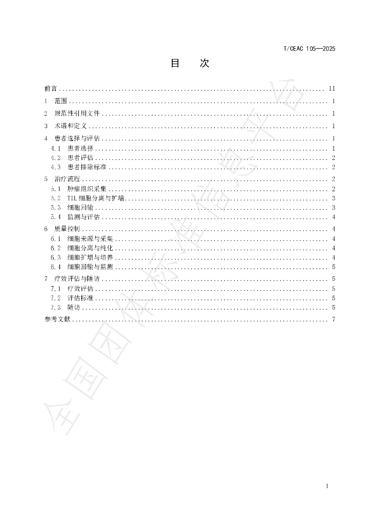 T/CEAC 105-2025 标准预览