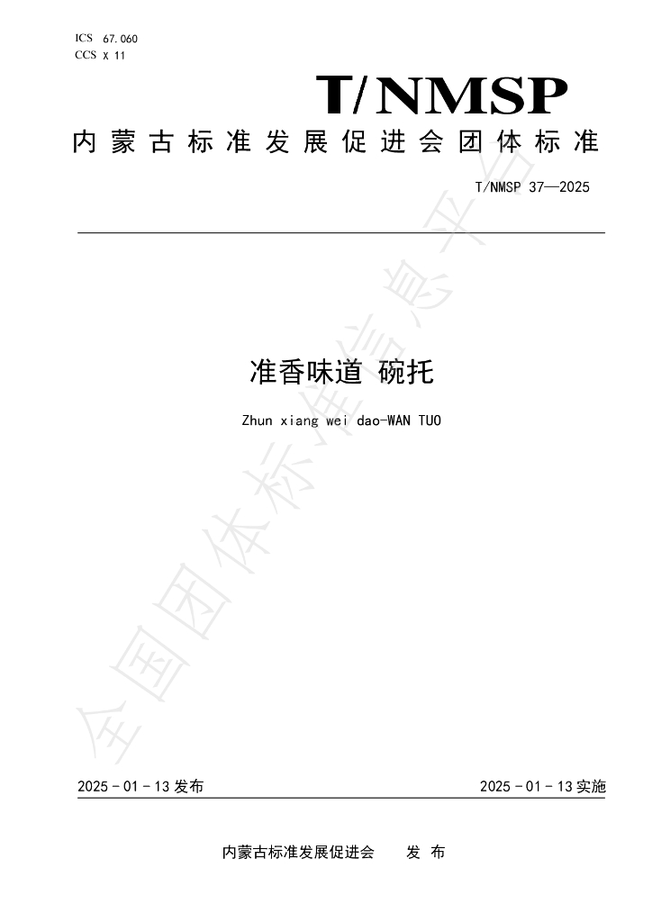 T/NMSP 37-2025 标准预览