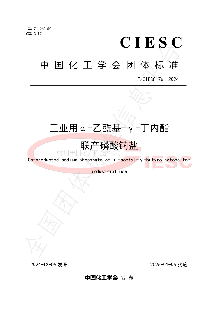 T/CIESC 76-2024 标准预览