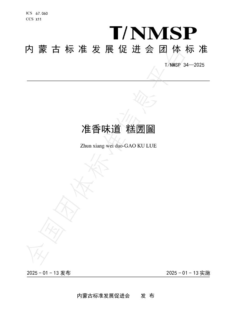T/NMSP 34-2025 标准预览