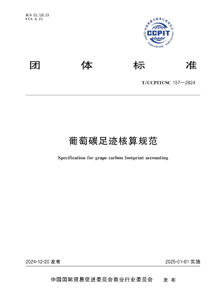 T/CCPITCSC 157-2024 标准预览
