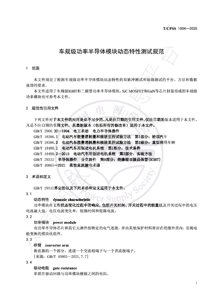 T/CPSS 1004-2025 标准预览