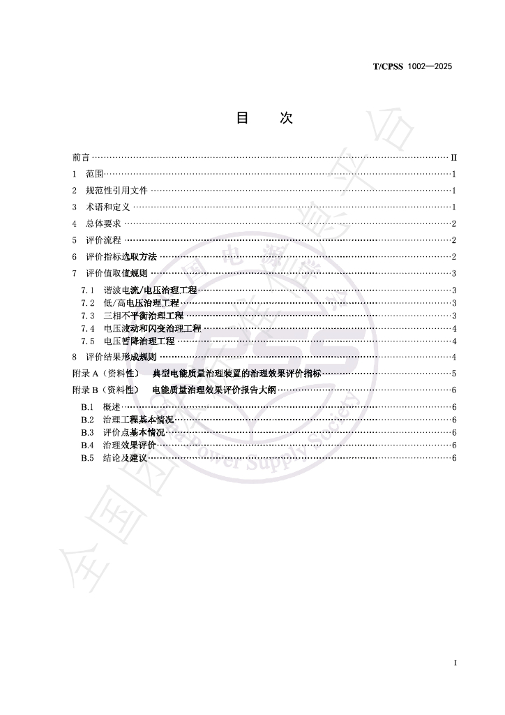 T/CPSS 1002-2025 标准预览